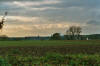 Please click to enlarge !
